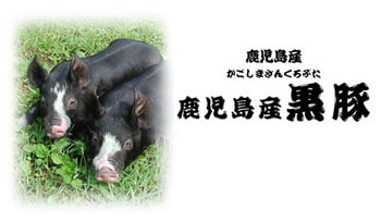 鹿児島産黒豚製品イメージ
