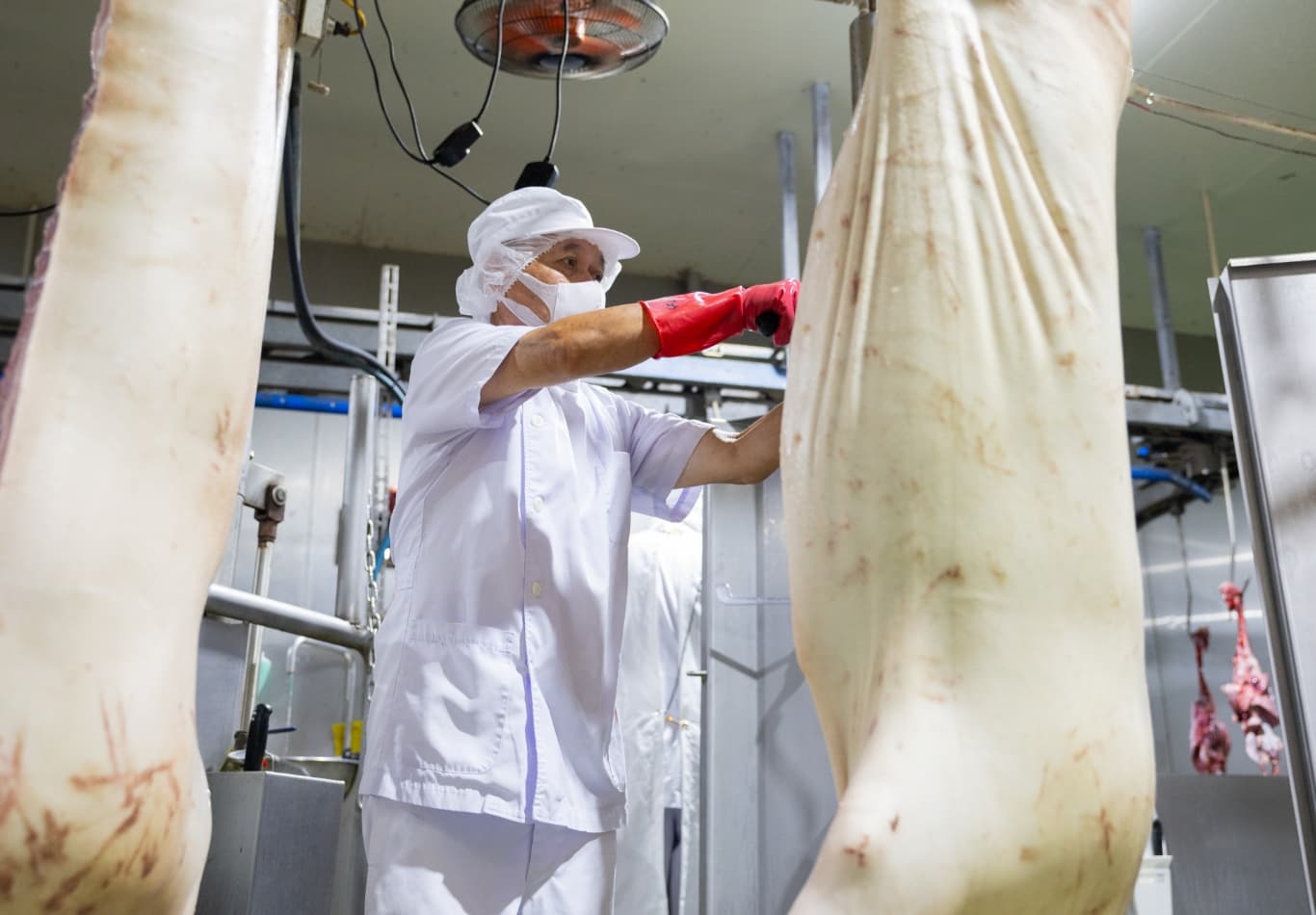 豚肉加工の写真